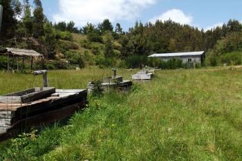 Camping Rayenko en Tirua, Bio Bio