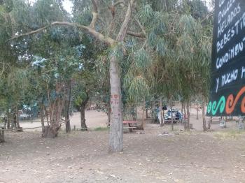 Camping Don Jose en Navidad, Ohiggins