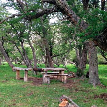 Camping Pingo Salvaje en Puerto Natales, Magallanes