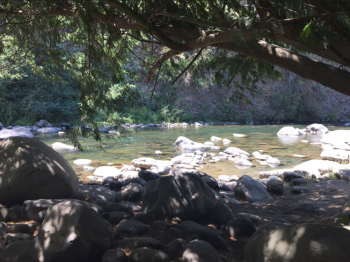 Camping Flor de Carmen en Rio Claro, Maule