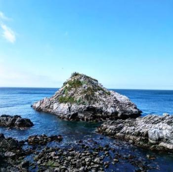 Camping Islote las Gaviotas en Valparaiso, Valparaiso